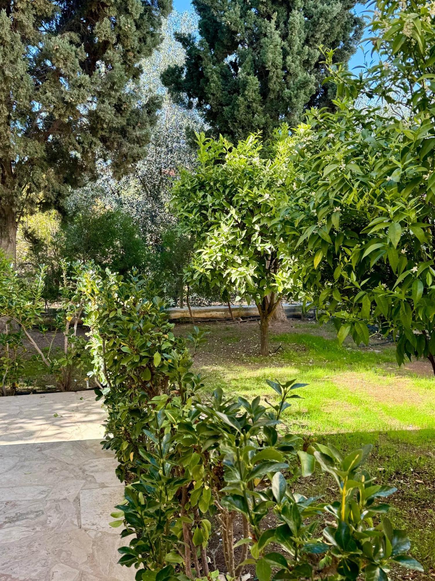 Villa Lorena Protaras Esterno foto
